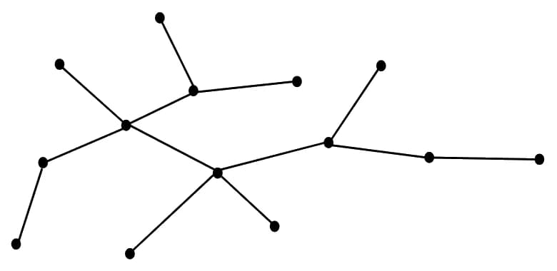 An unlabelled tree with 14 vertices drawn as dots and lines