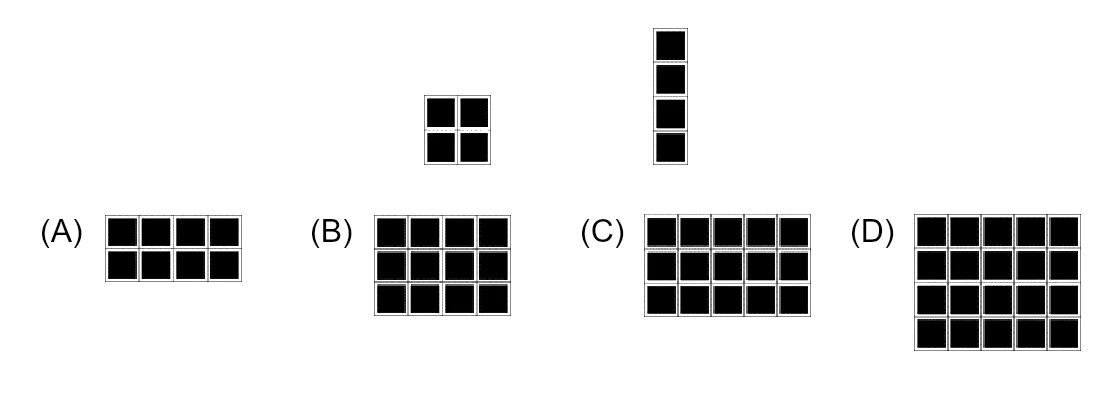 Top: a 2 by 2 square of tiles and a vertical bar of 4 tiles. Below: options (A) a 2 by 4 grid, (B) a 3 by 4 grid, (C) a 3 by 5 grid, (D) a 4 by 5 grid